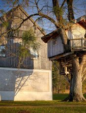 Ile kosztuje domek na drzewie i jak go zrobić?