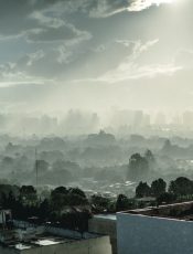 Czy smog zwiększa ryzyko poronienia?